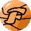FST