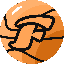 FST