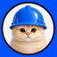 BASECAT