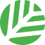 CNPY
