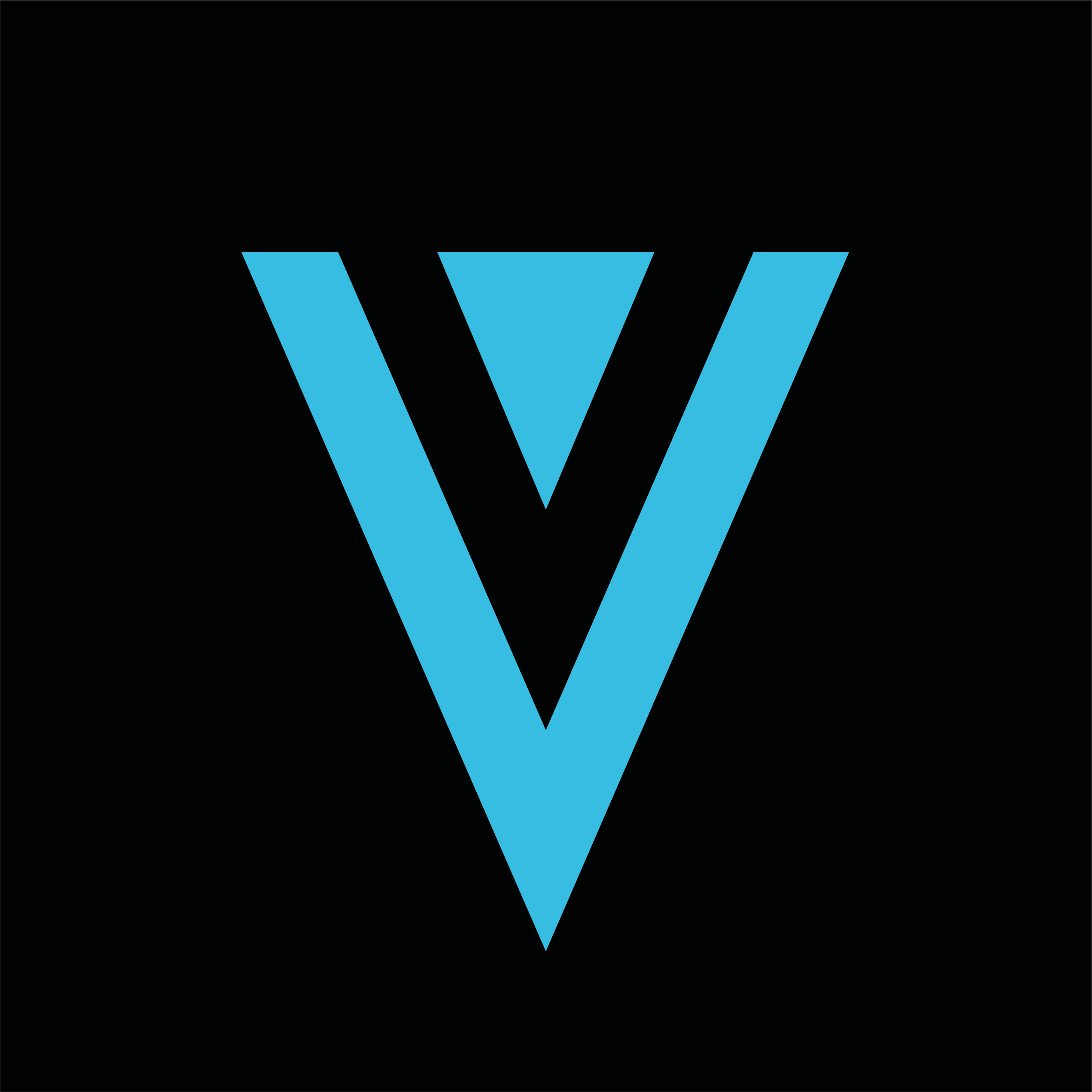 XVG